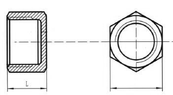 BSP 6k-plug con. 1" 316