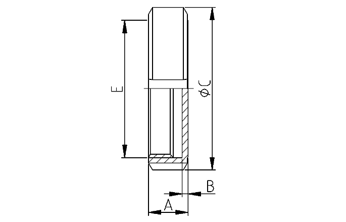 Nut blind DIN11851 DN10 304