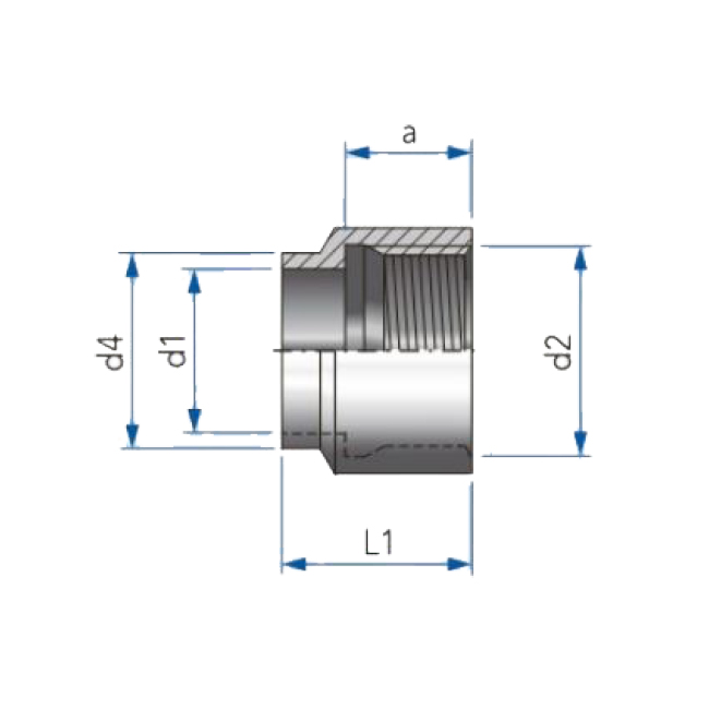 BSP S-sok DN10-3/8" 316