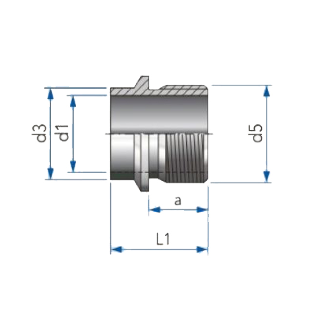 BSP S-nippel DN10-3/8" 316