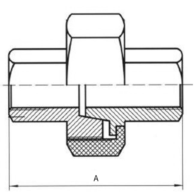 BSP koppeling bi-bi con 1/4" 316 G