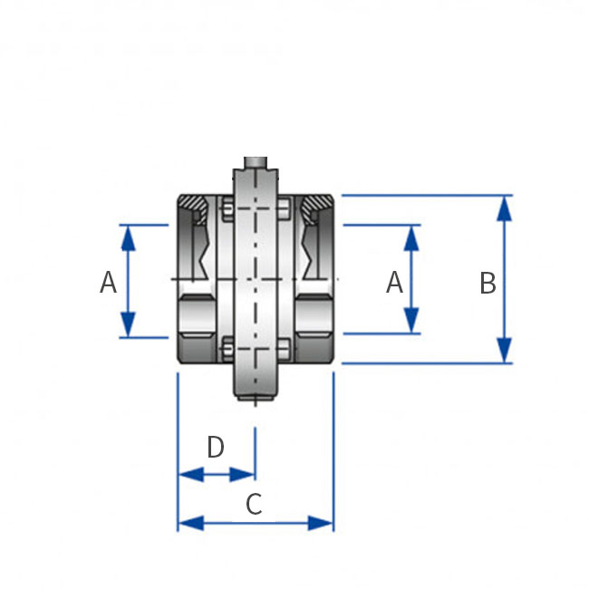 SV 4303 -/-B G/G DN65 EPDM 316