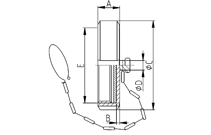 Nut blind complete DN25 304