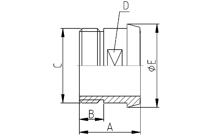 Liner thread outside DN25-1" 316