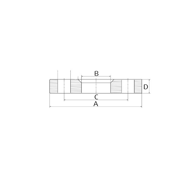 Loose flange type 02-C DN50 304