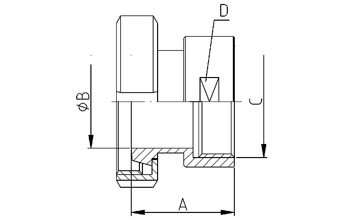 Liner thread inside DN25-1" 316