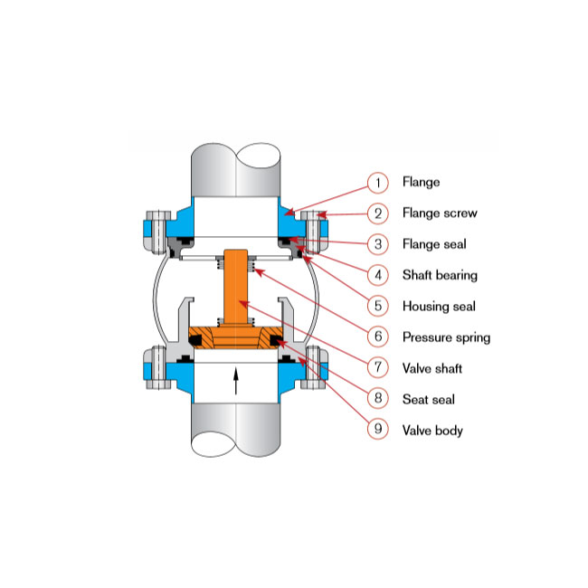 W/M Check valve single 1" 304